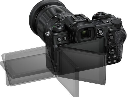 Nikon z6 iii + z 24-105mm f/4-7.1 + sd 128 - nital