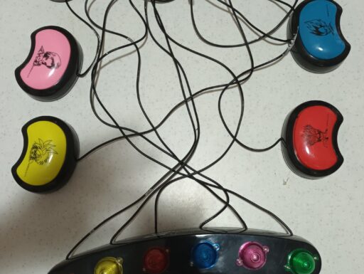 Quizzettone di dragon ball, un gioco di società elettronico