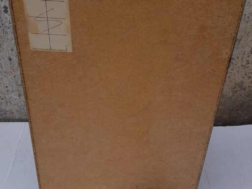 Cassa amstrad tower ts46 da usare come monitor o altri usi