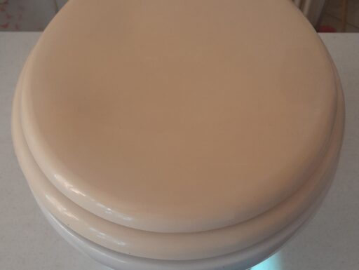 Wc water vaso pozzi ginori completo di tavoletta