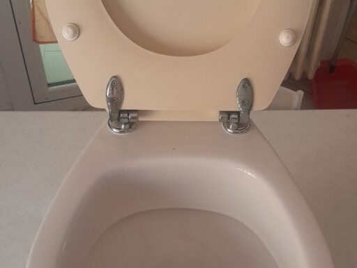 Wc water vaso pozzi ginori completo di tavoletta