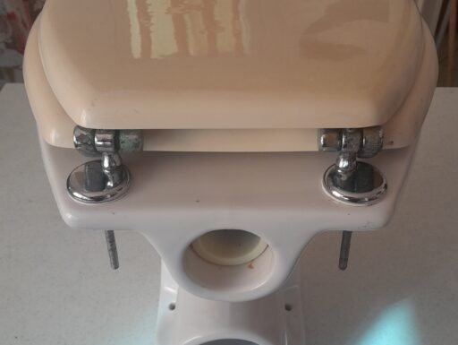 Wc water vaso pozzi ginori completo di tavoletta